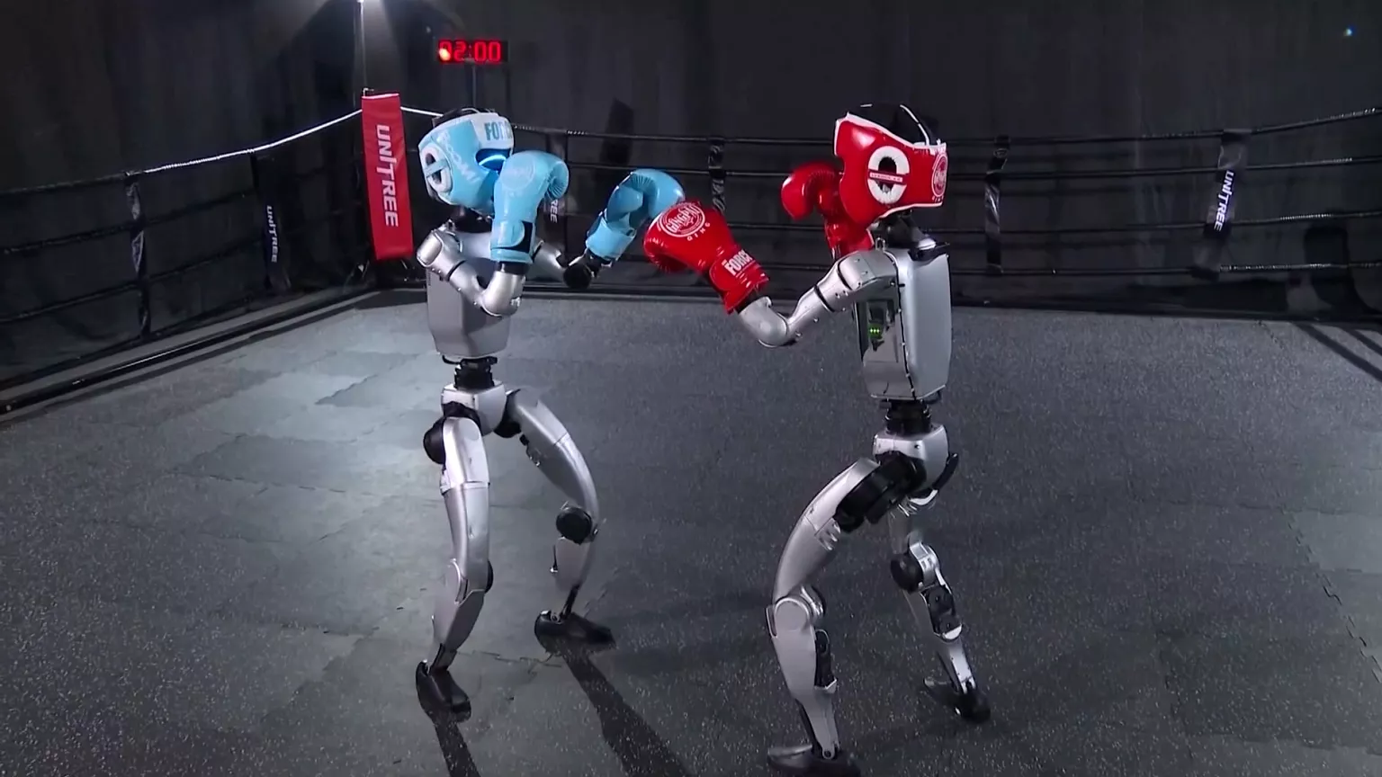 Competencia Mundial de Boxeo entre Robots Humanoides con Subtítulos y Audio EN ES
